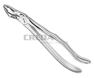 Extracting forceps, anat.